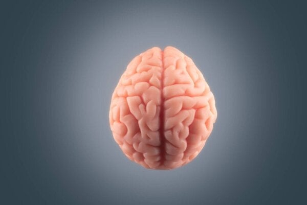 Asymmetrie in de hersenen en psychologische processen
