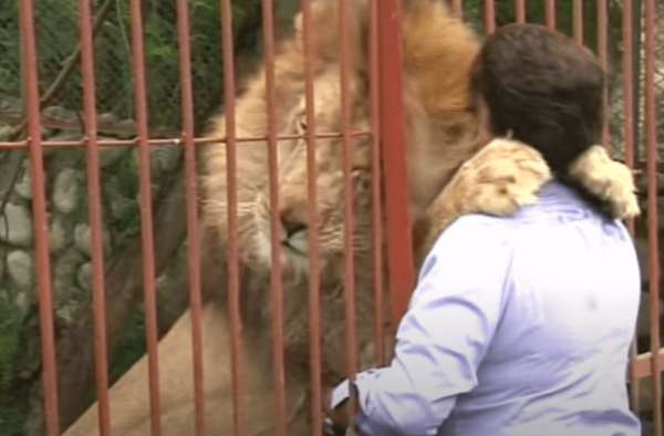 Ana Julia Torres, redder van de dieren
