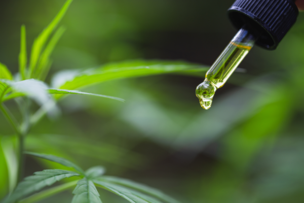 Verbetert CBD echt de slaap?