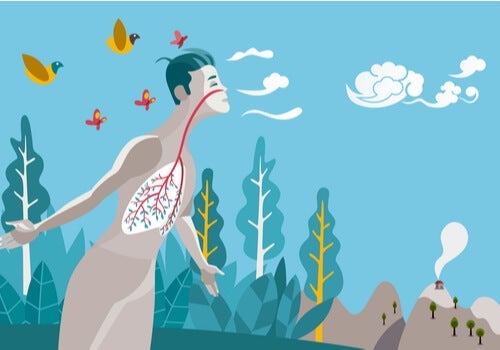 De kunst van het ademen