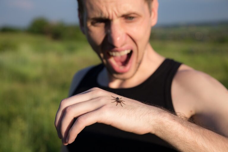 Arachnofobie, de angst voor spinnen