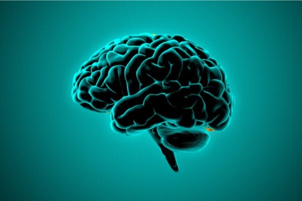 Wat neurowetenschap zegt over de hersenen van gewelddadige mensen