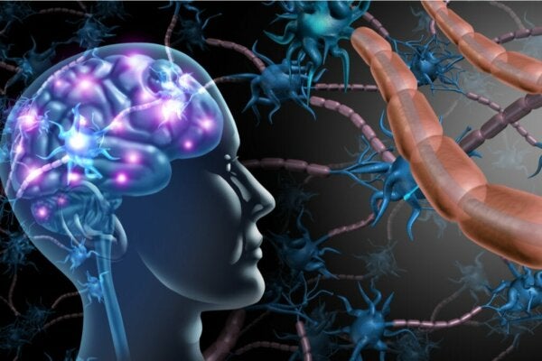 De verschillen tussen multiple sclerose en ALS