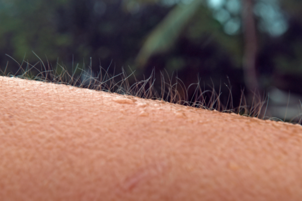 Huidorgasmen, als je kippenvel krijgt van muziek