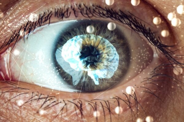 Het Ganzfeld-effect: een fascinerende blik in je geest