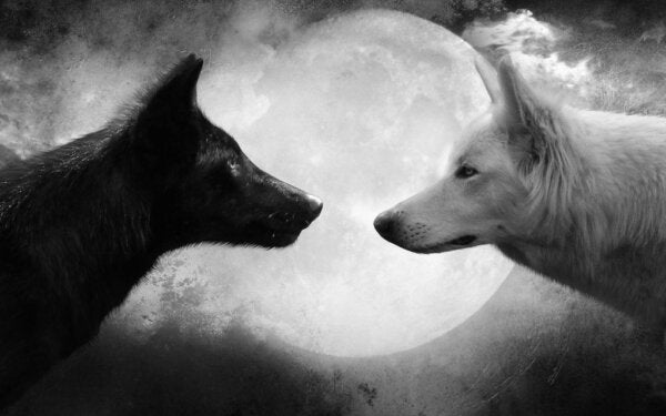 De verschillen tussen constructieve en destructieve kritiek