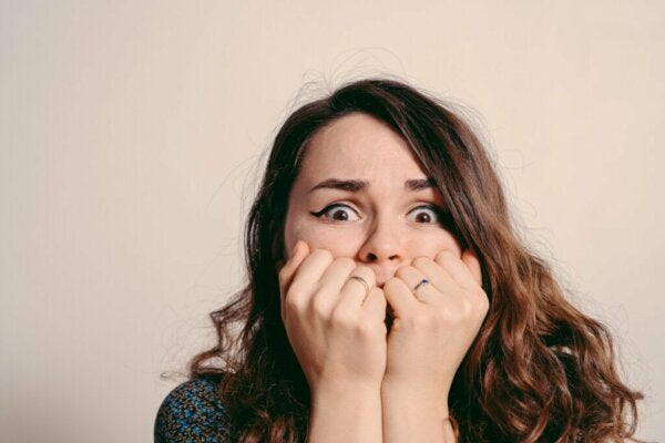 De paraatheidstheorie van Seligman