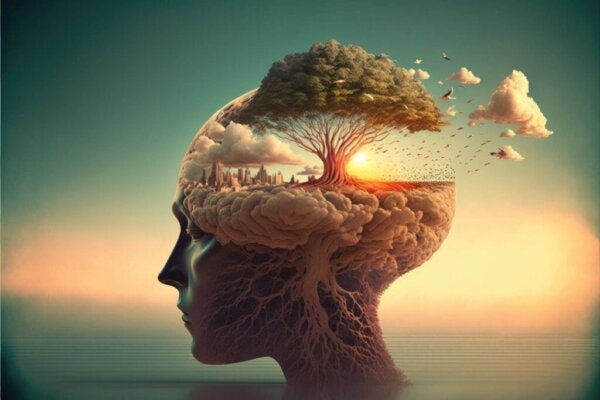 7 verschillen tussen hersenen en geest