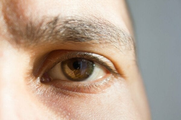 Zeven merkwaardige en fascinerende feiten over je zintuigen