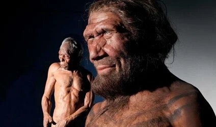 Neanderthalers hadden een gevoel van medeleven