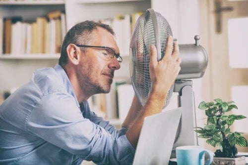 Hittestress en de effecten ervan op het lichaam