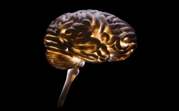 Neurocriminologie, het begrip van criminaliteit
