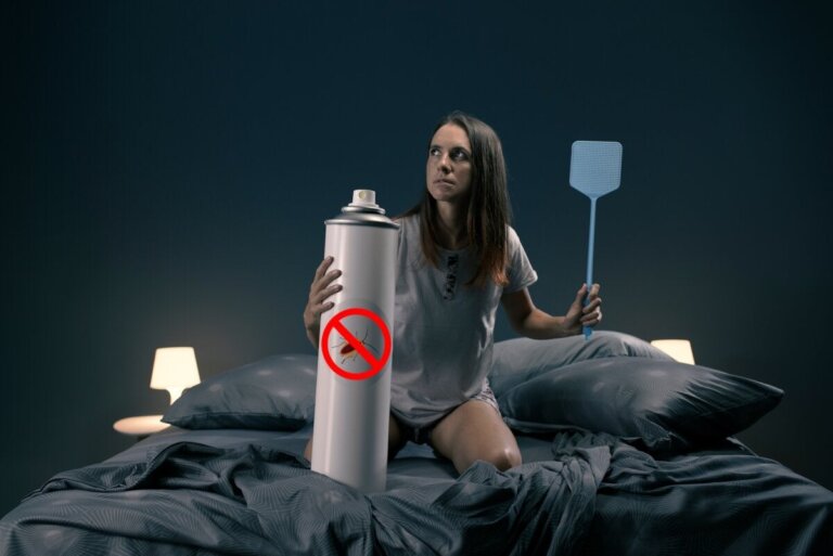 Wat is de betekenis van dromen over kakkerlakken?