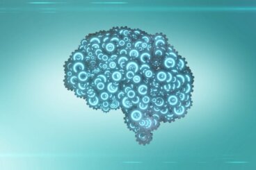 Het Radex-model van intelligentie