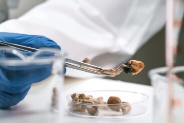 Psychedelica en terminale ziekten