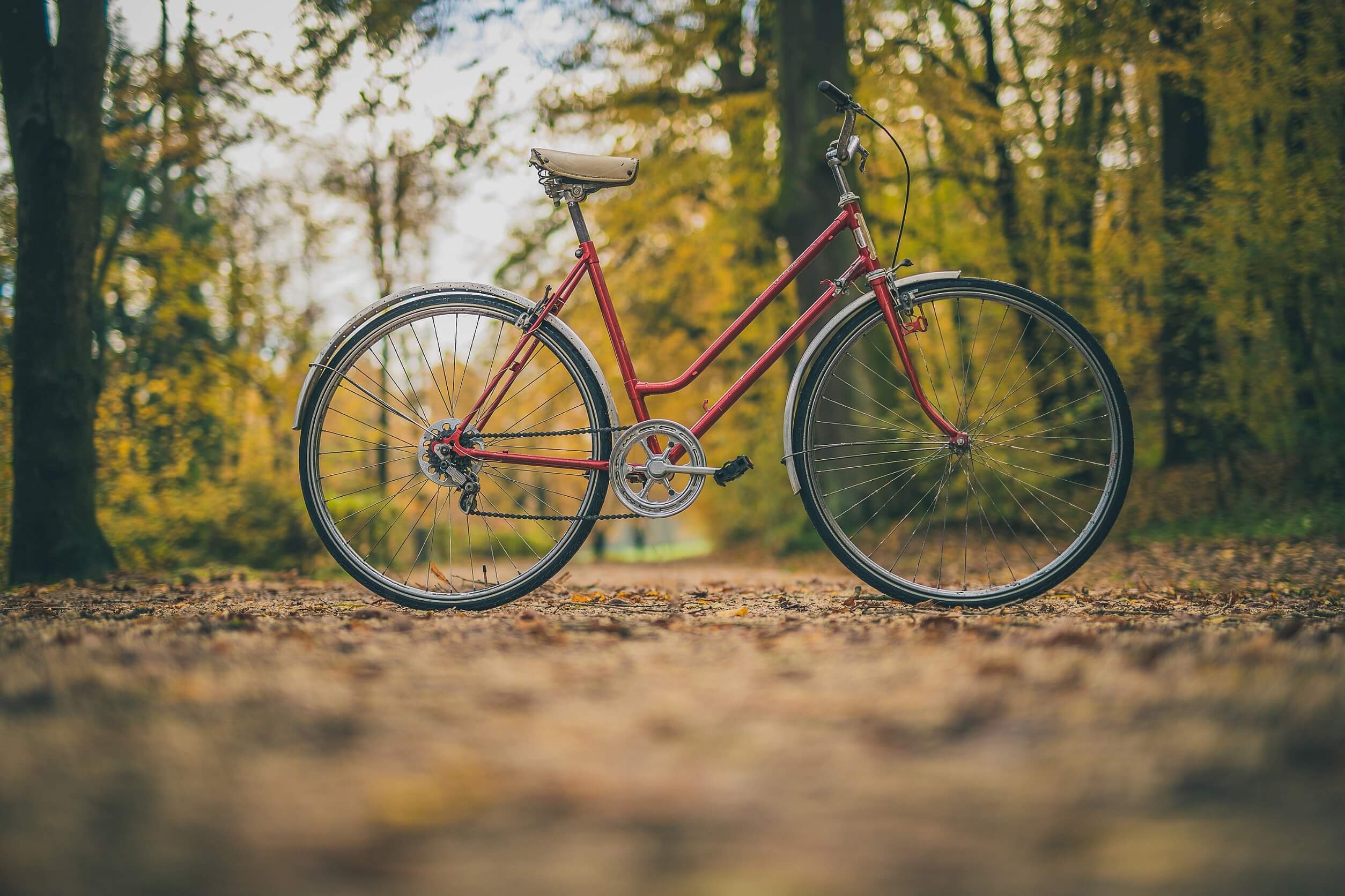 Stimuleert de band met de natuur