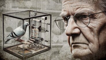 De Skinner-box: doelstellingen en resultaten