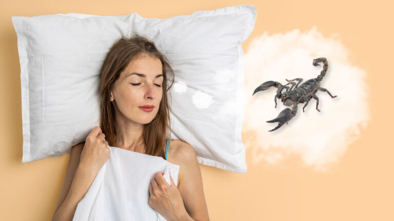 Wat is de betekenis van dromen over schorpioenen?